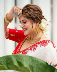 Alluring White Rangoli Silk with Embroidery Saree