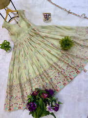 Stylish Pista Simmer Embroidery Work Gown