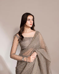 Fashionable Siroski Dimond work Grey Color Saree