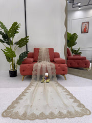 Lovely Cream Organza With Coding Work Saree