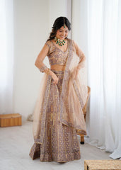 Lovely Beige Net Embroidery Work Lehenga Choli