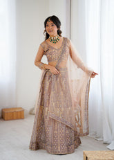 Lovely Beige Net Embroidery Work Lehenga Choli