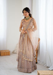 Lovely Beige Net Embroidery Work Lehenga Choli