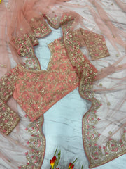 Trendy Pink Net with Embroidery Work Saree