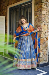 Pretty Blue Organza Digital Work Gown