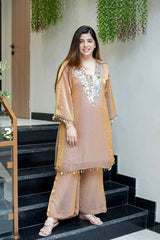 Gorgeous Brown Color Embroidery Work Palazzo Suit