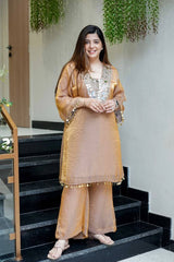 Gorgeous Brown Color Embroidery Work Palazzo Suit