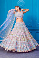 Gorgeous Blue Net Embroidery Work Lehenga Choli
