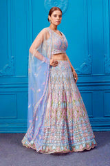 Ravishing White Net Embroidery Work Lehenga Choli