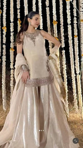 Lovely White Velvet Embroidery Work Palazzo Suit