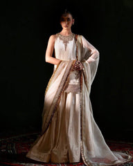 Lovely White Velvet Embroidery Work Palazzo Suit