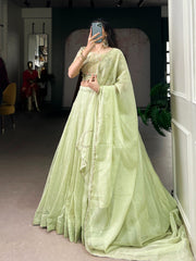 Lovely Green Allen Crush Plain Lehenga Choli
