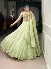 Lovely Green Allen Crush Plain Lehenga Choli
