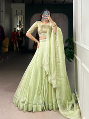 Lovely Green Allen Crush Plain Lehenga Choli