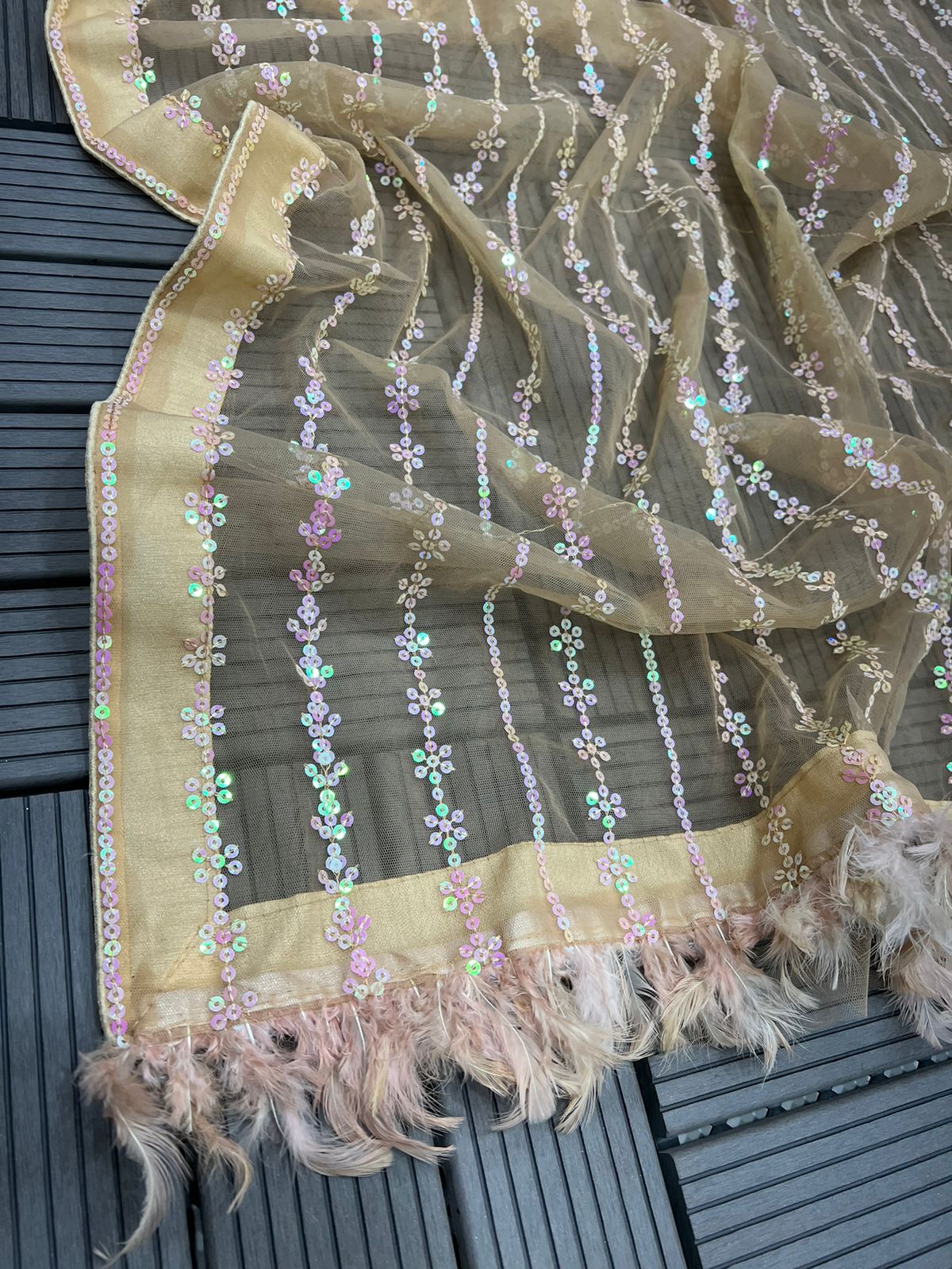 Fancy Border Sequence Work Beige Color Net Saree