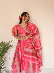 Festival Wear Multi Color Organza Anarkali Suit
