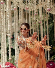 Fashionable Butterfly Net Orange Color  Saree