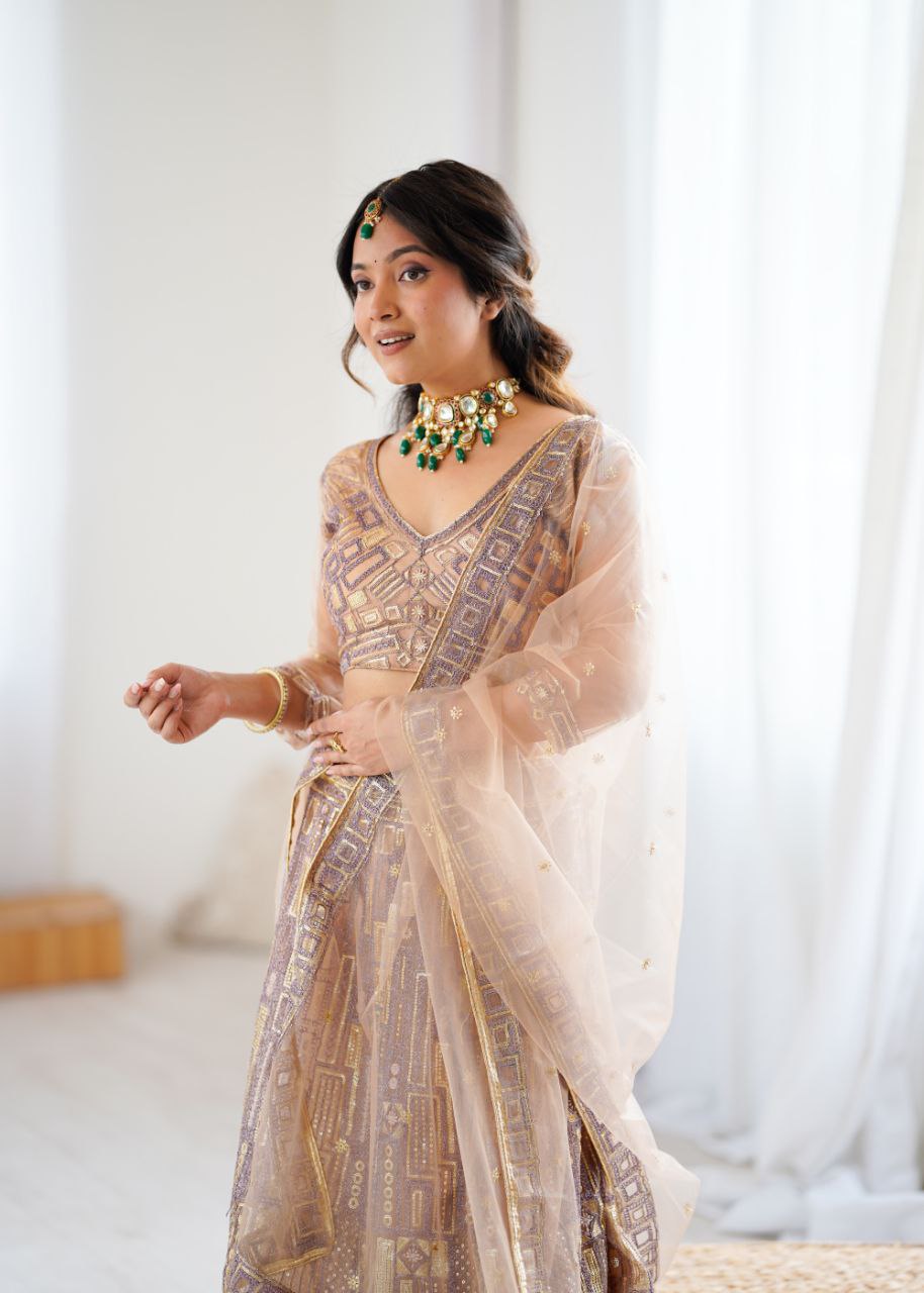 Lovely Beige Net Embroidery Work Lehenga Choli