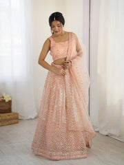 Awesome Peach Net Rainbow Work Lehenga Choli