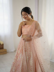 Awesome Peach Net Rainbow Work Lehenga Choli
