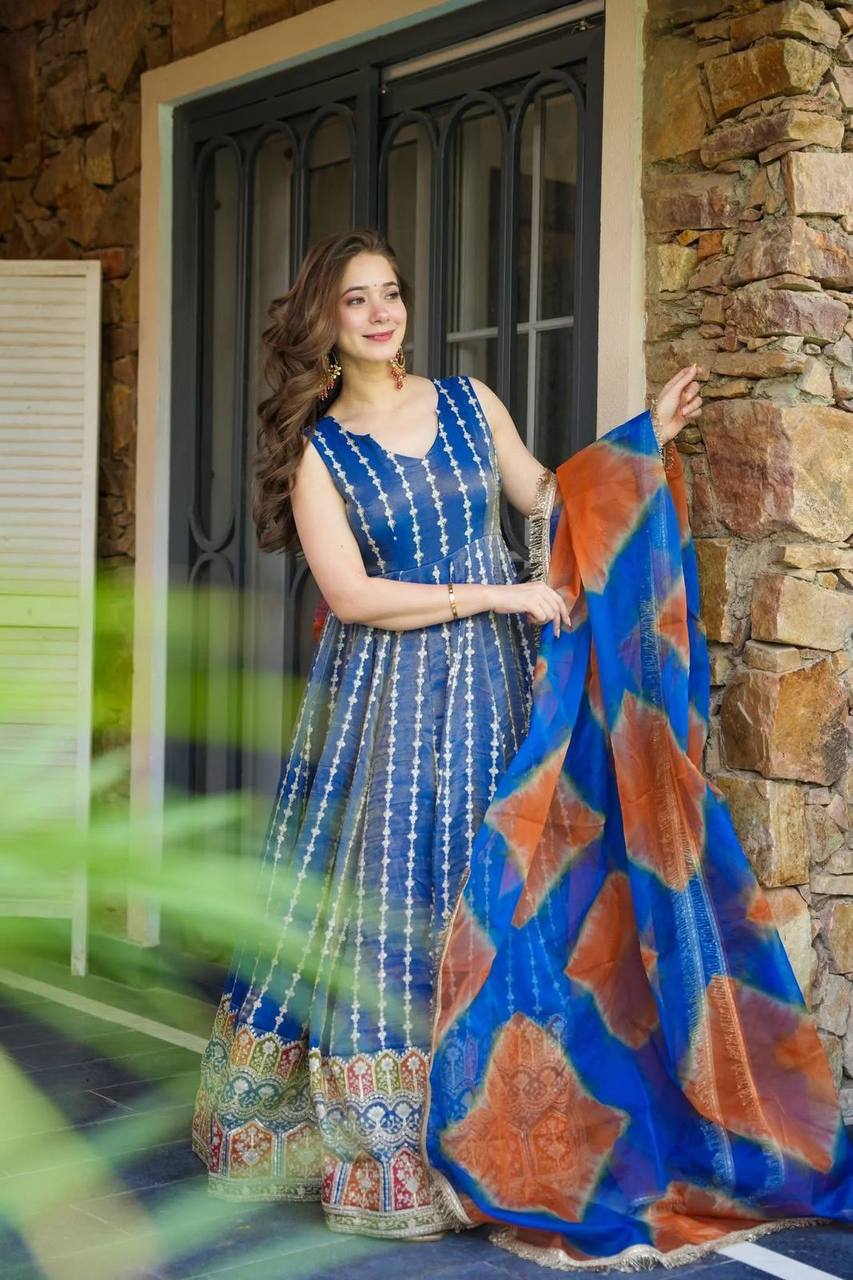 Pretty Blue Organza Digital Work Gown