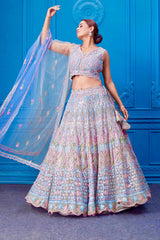 Gorgeous Blue Net Embroidery Work Lehenga Choli