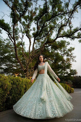 Gorgeous Silver Net With Embroidery Work Lehenga Choli