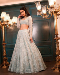 Gorgeous Silver Net With Embroidery Work Lehenga Choli