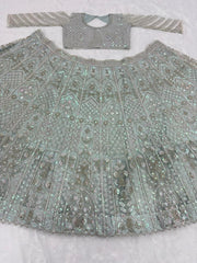 Gorgeous Silver Net With Embroidery Work Lehenga Choli